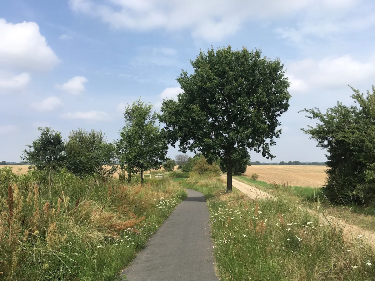 Hübsch bewachsener Weg